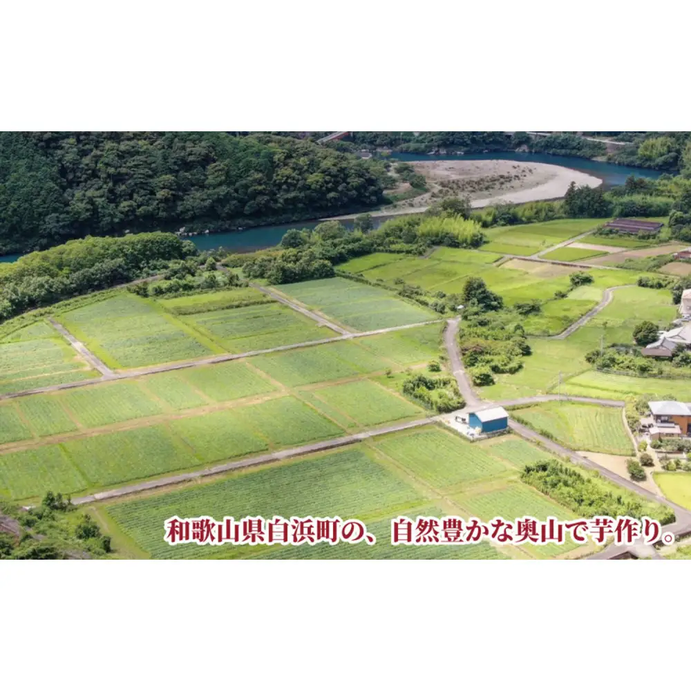 熊野紅はるか「芋平けんぴ」食べ比べセット