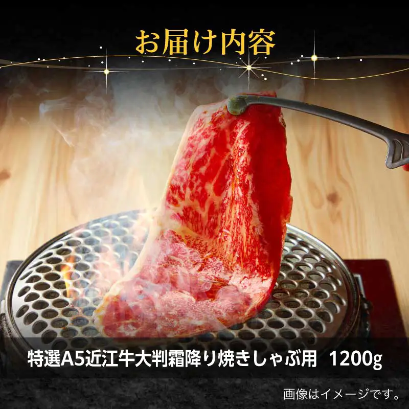 特選A5近江牛大判霜降り焼きしゃぶ用1200g EG-0003