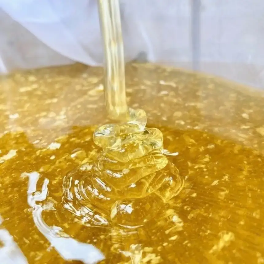 八ヶ岳産 百花蜜「森のしずく」 季節のはちみつ食べ比べ 3種ギフトセット（100ｇ×3） | はちのわ