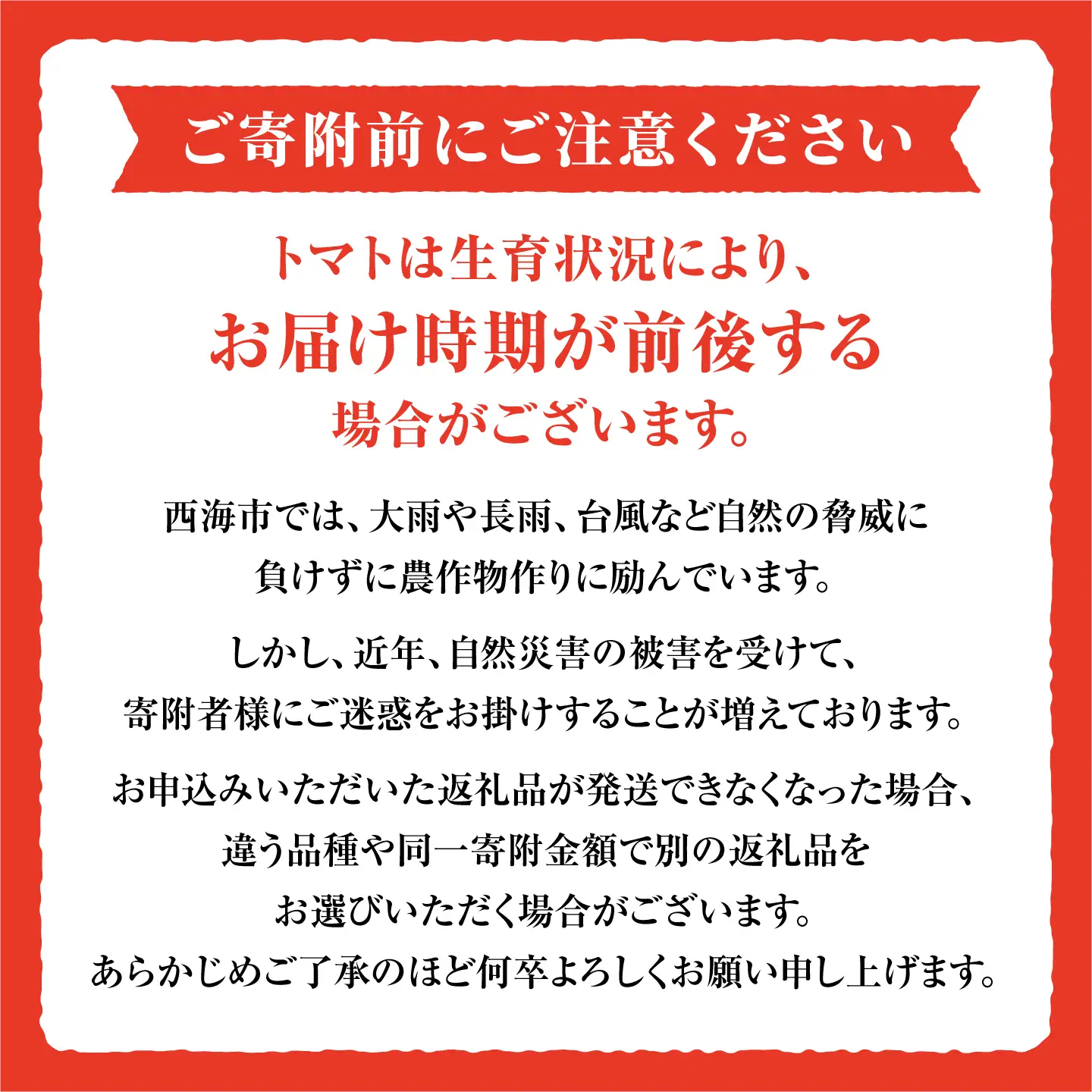 【3回定期便】 トマトづくし定期便＜大島造船所 農産グループ＞[CCK046]