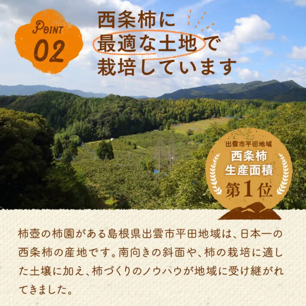 【柿専業の農家が作る】謹撰大玉西条柿の干し柿 440g【11月下旬以降お届け】
