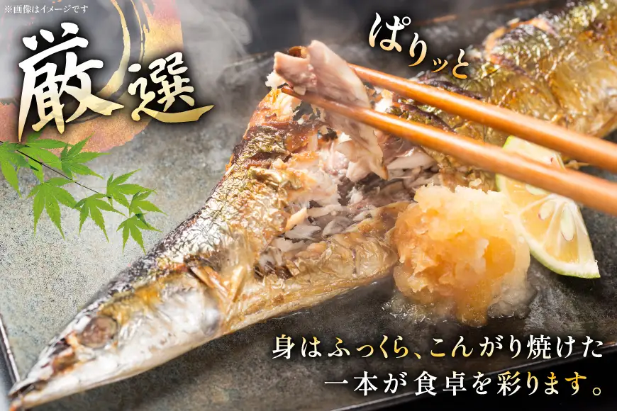 【期間限定発送】生 さんま 8尾 大サイズ
