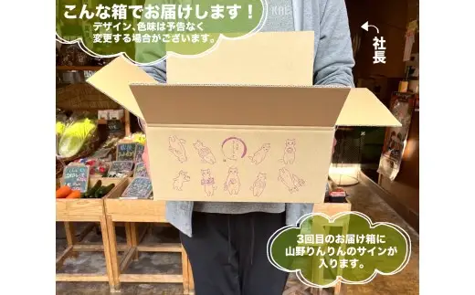 B121 山野りんりんオリジナルボックスで送る旬の野菜とフルーツ定期便（年3回）