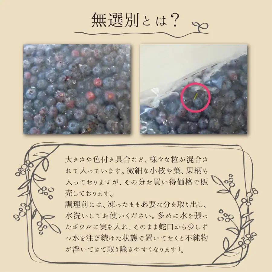 ≪ 訳あり≫ 無選別 冷凍ブルーベリー 8kg ブルーベリー 果物 フルーツ 朝食 ヨーグルト スムージー 健康 訳アリ 【有限会社伊豆沼農産】tm785