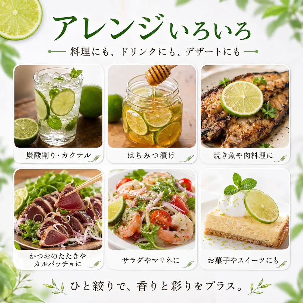 訳あり タヒチライム 約1.6kg ライム サイズおまかせ 国産