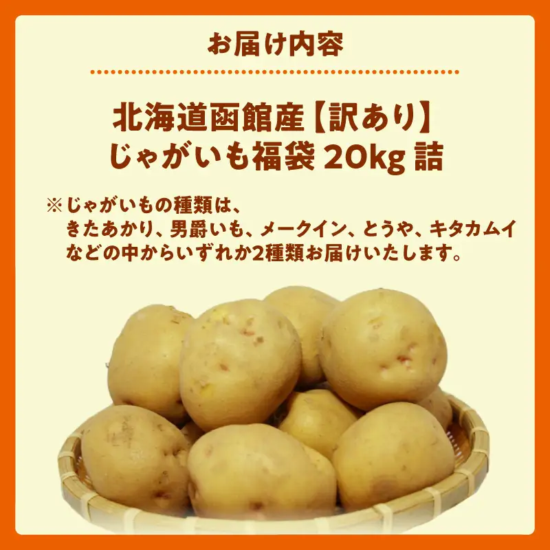 じゃがいも 福袋 2種類 20kg きたあかり 男爵いも メークイン とうや キタカムイ 北海道産 函館市 送料無料_HD206-003