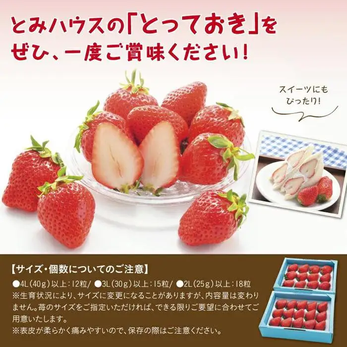 とっておきDX 500g 鳥取いちご【とみハウス】
