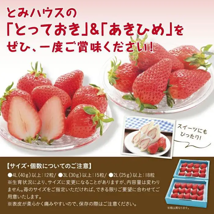 味くらべDX 1kg 鳥取いちご【とみハウス】