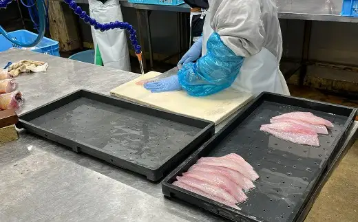 長崎干物あじ開き 約1.5kg （ 約20枚前後 ） 干物 あじ アジ 鯵 魚 魚介 魚介類 魚類 海鮮 おかず 晩酌 おつまみ 国産 長崎県産 冷凍