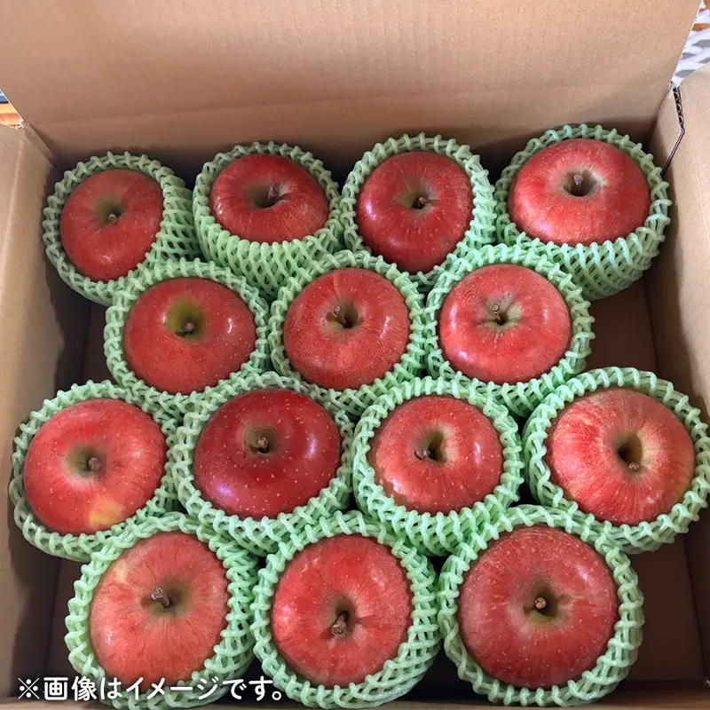 農家直送 令和8年度産 中山町産 わけあり「サンふじ」約5kg りんご リンゴ 林檎 デザート フルーツ 果物 くだもの 果実 食品 中山町 山形県 F4A-1044