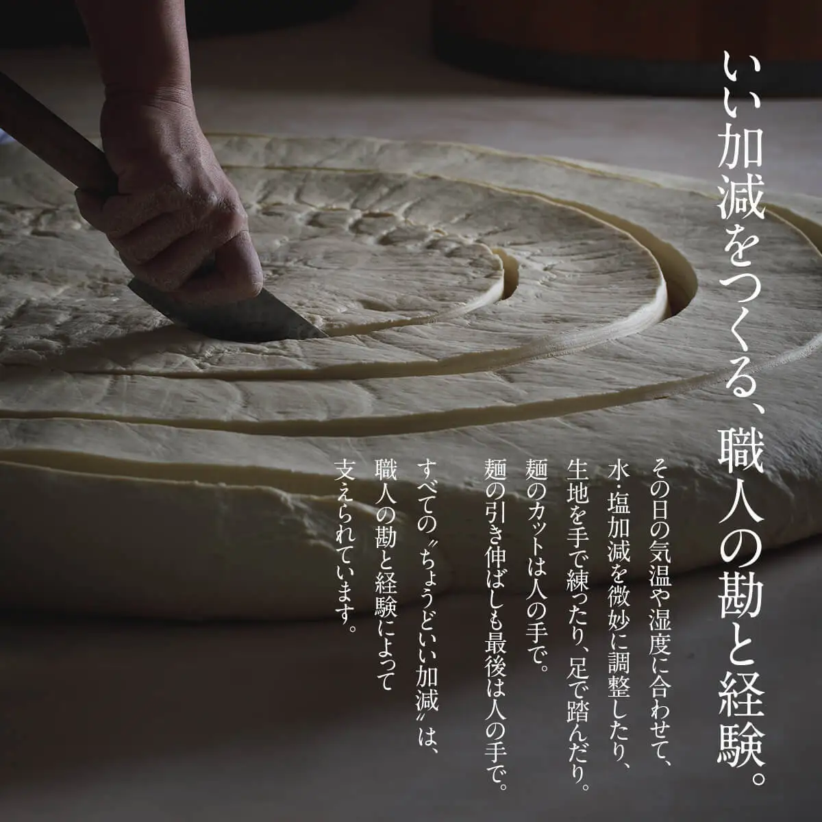 【 3回 隔月 定期便 】 海津屋 氷見うどん 細麺 5本 ＋ つゆ 5袋 × 2 （ 自家用 ） 簡易箱 手延べ うどん 国内製造 麺類 富山県 氷見市
