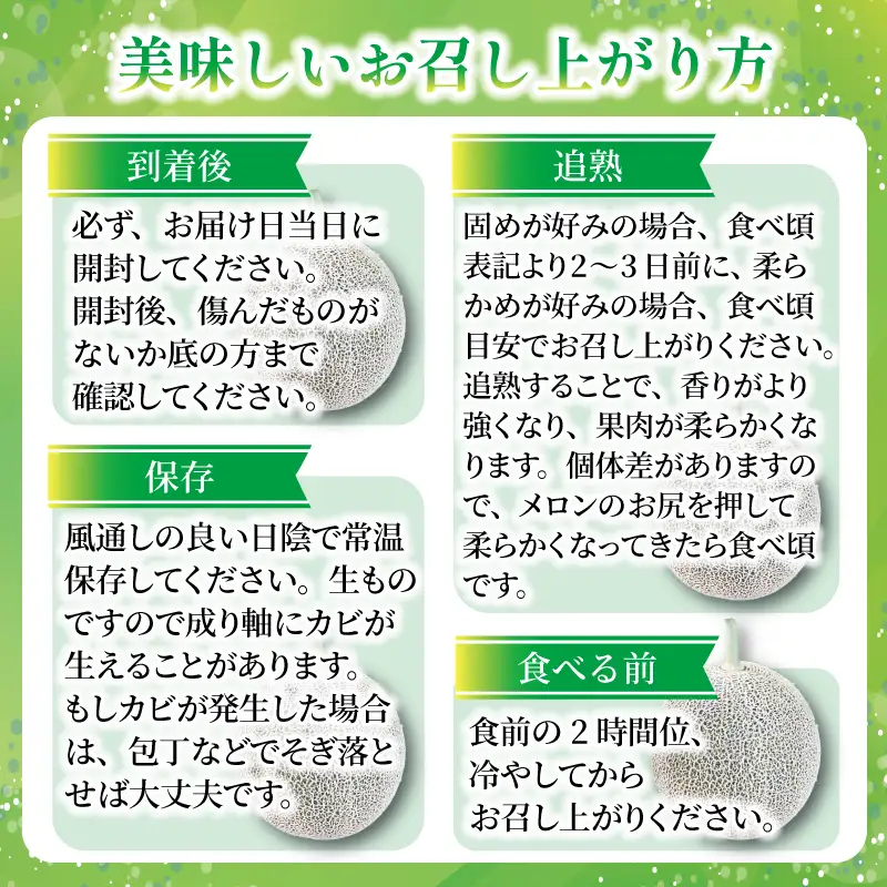 メロン 訳あり 2027年 先行予約 赤肉 約 11kg 6～12玉 タカミメロン