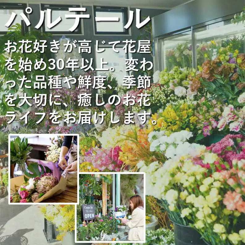 季節のフラワーアレンジメントB お花 生花 贈り物 岩手県 北上市 B0447 花工房 パルテール 花 お試し アレンジ カラフル インテリア 自宅用 記念日 誕生日 結婚記念日 バレンタイン ホワイトデー 卒業祝い 入学式祝い プレゼント 敬老の日 クリスマス 正月 還暦 古希 喜寿 プレゼント ギフト ブーケ おしゃれ