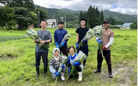 ＜期間限定11月30日迄＞高原ふれあい産直　西和賀・高原のユリ 3本