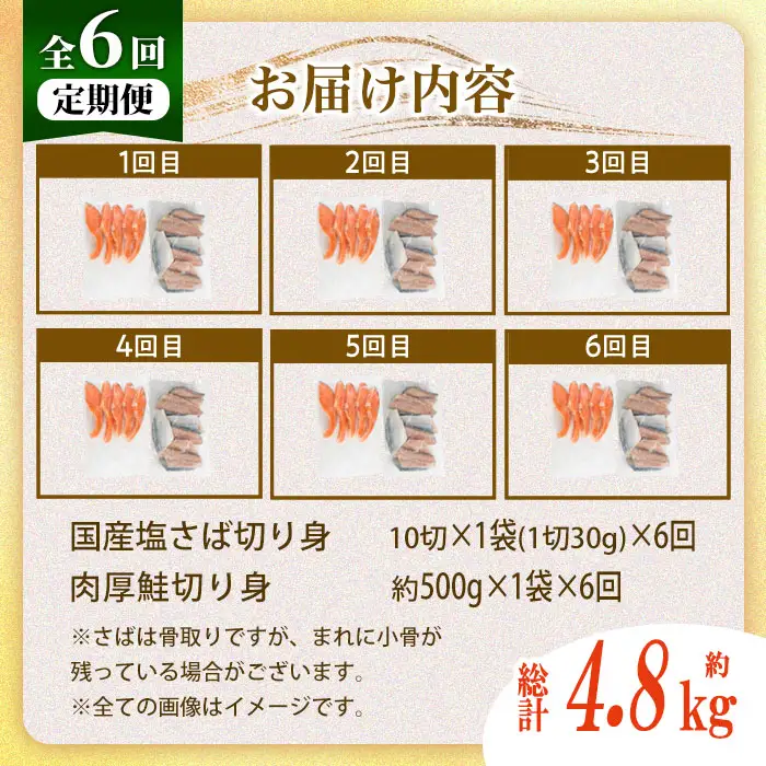 【定期便・全6回(連続)】骨取り 国産 塩さばと 肉厚 鮭 切り身 のセット(総計約4.8kg) 量 切身 塩 鯖 サバ 骨なし 骨とり 冷凍食品 小分け パラパラ冷凍 肉厚 鮭 厚切り しゃけ さけ サケ 切身 塩鮭 【AW-142】【丸正水産】