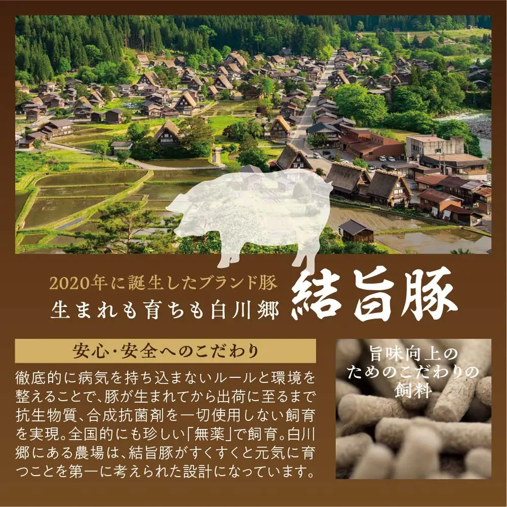 結旨豚 ウデ又はモモ 切り落とし 250g×12p（計3kg） トレーなし 簡易包装  ｜ 肉 お肉 豚肉 国産 切り落とし 切落し 薄切り 訳あり 白川郷 岐阜県 白川村 ブランド豚 人気 おすすめ ギフト 飛騨高山ミート