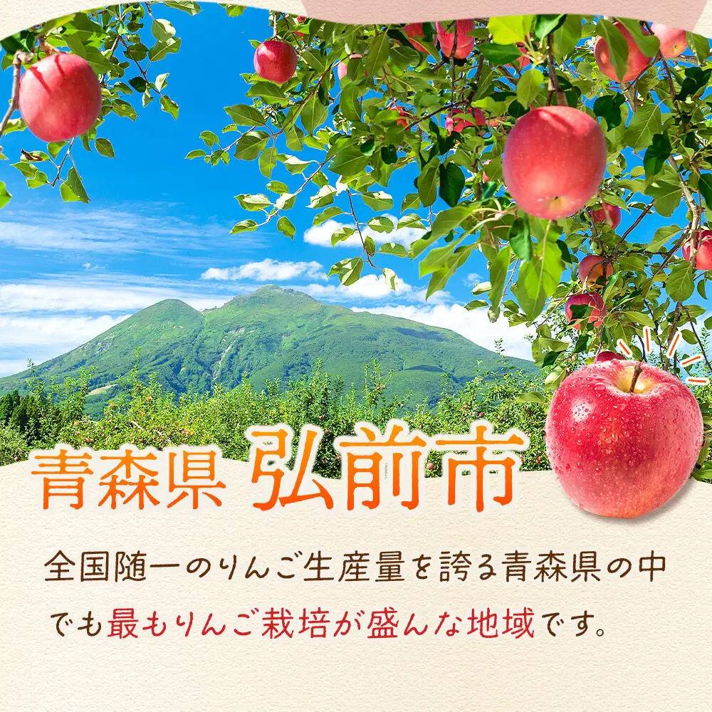 【26年12月発送】りんご 葉とらずサンふじ【特選】約5kg 13～20玉程度【糖度13度以上】津軽農園 先行受付 青森県 弘前市 果物 フルーツ 林檎 リンゴ くだもの ギフト 贈り物