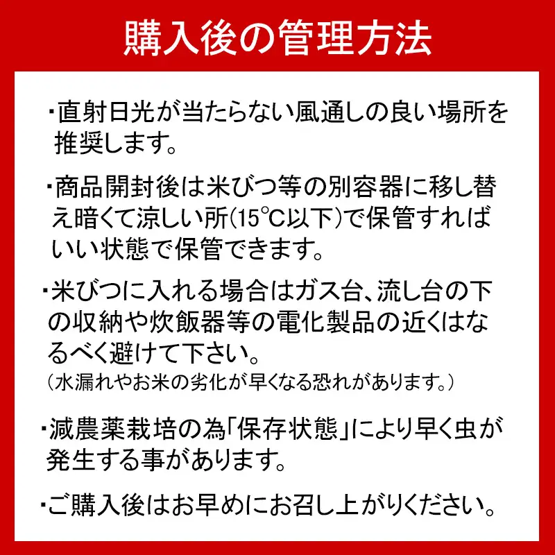令和8年産新米【先行予約】 新潟県産コシヒカリ いまいっ娘 5kg 【白米 新潟県 糸魚川市産 安心 安全 美味しいお米 新潟米 今井産 米 精米 こしひかり おにぎり お弁当 におすすめ お米 おこめ コメ 2026】
