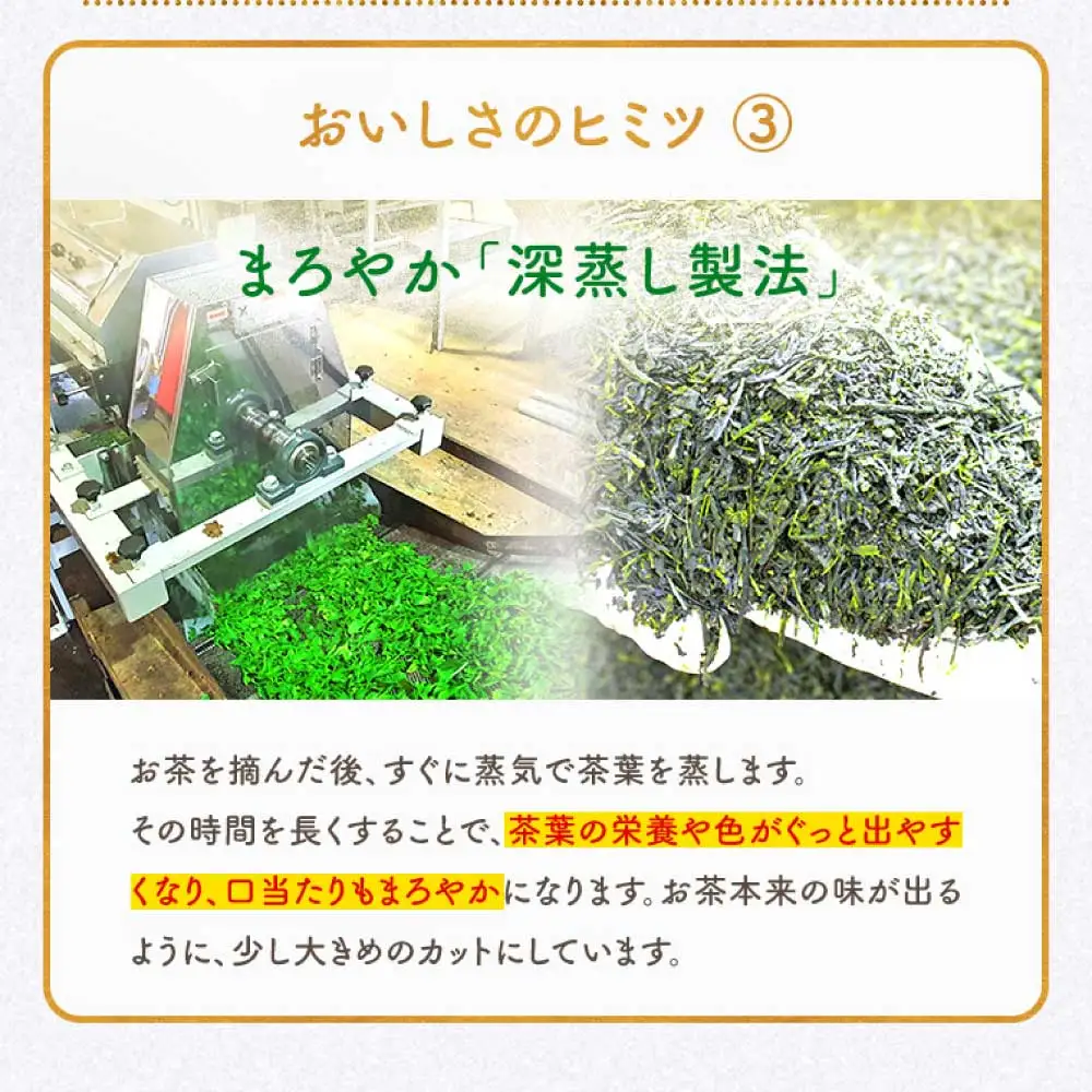 令和8年熊本地震復興支援 初摘み茶 50包【ネコポス】