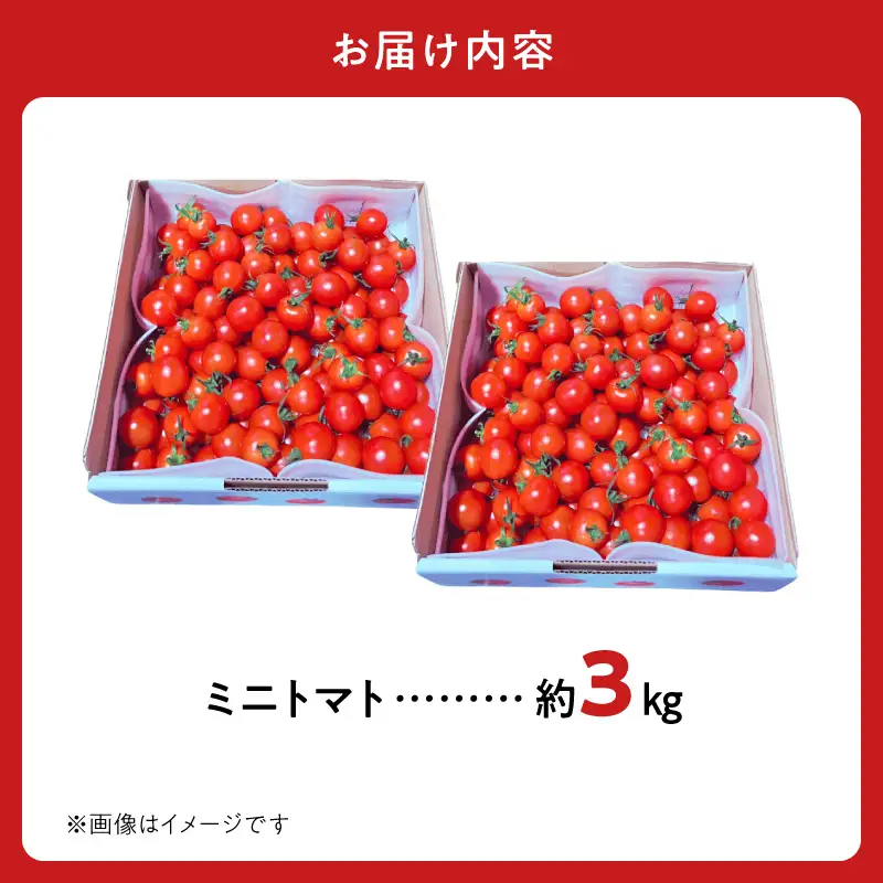 渕上農園　【常温】ミニトマト3kg_U150-0002