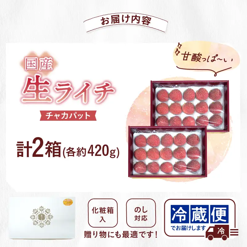 先行予約 数量限定 希少 国産 綾 生ライチ 2箱セット 1種類（化粧箱入り）果物 フルーツ くだもの 国産ライチ 2027年 トロピカルフルーツ 南国フルーツ 冷蔵 ジューシー 高級 デザート ギフト 贈り物 プレゼント ご褒美 宮崎県 送料無料【JA綾町】_A0114-269