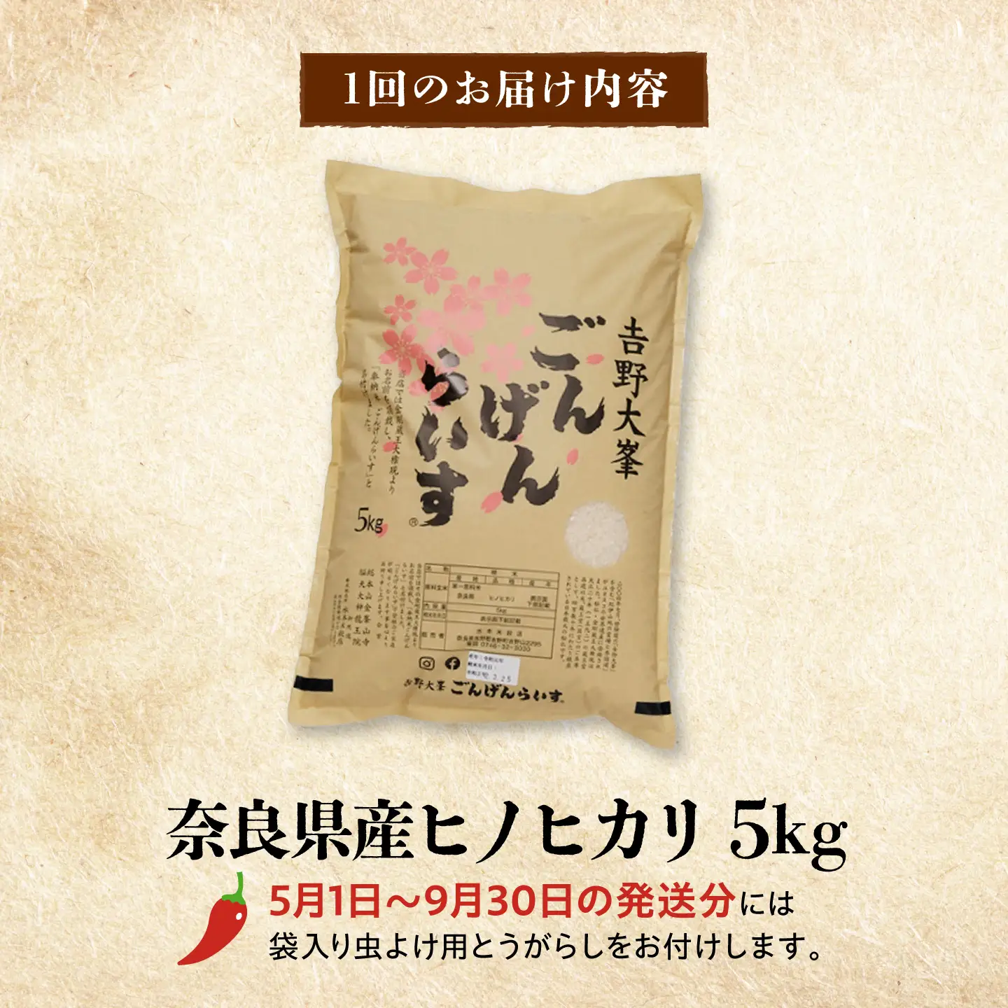 【3回】白米 5kg[BRAW063] 白米