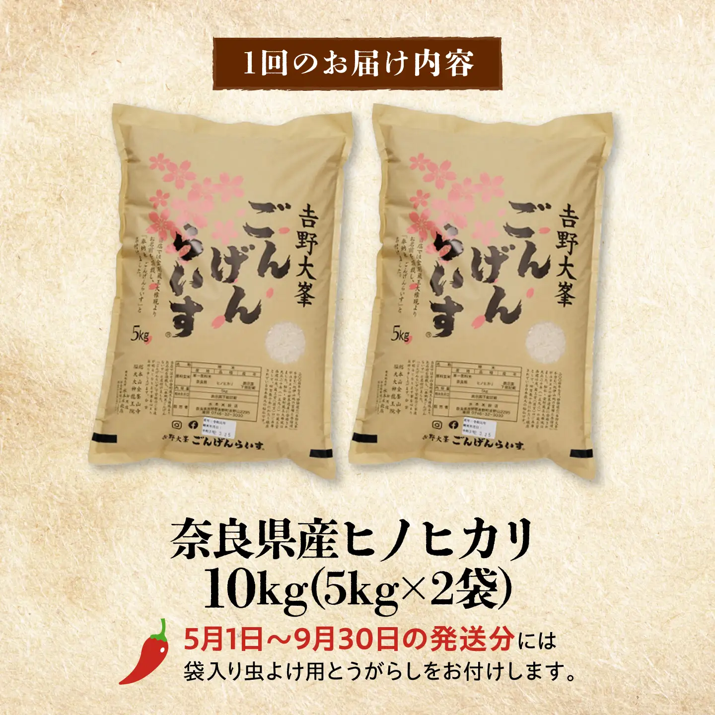 【全3回】白米 10kg ひのひかり[BRAW064] ひのひかり
