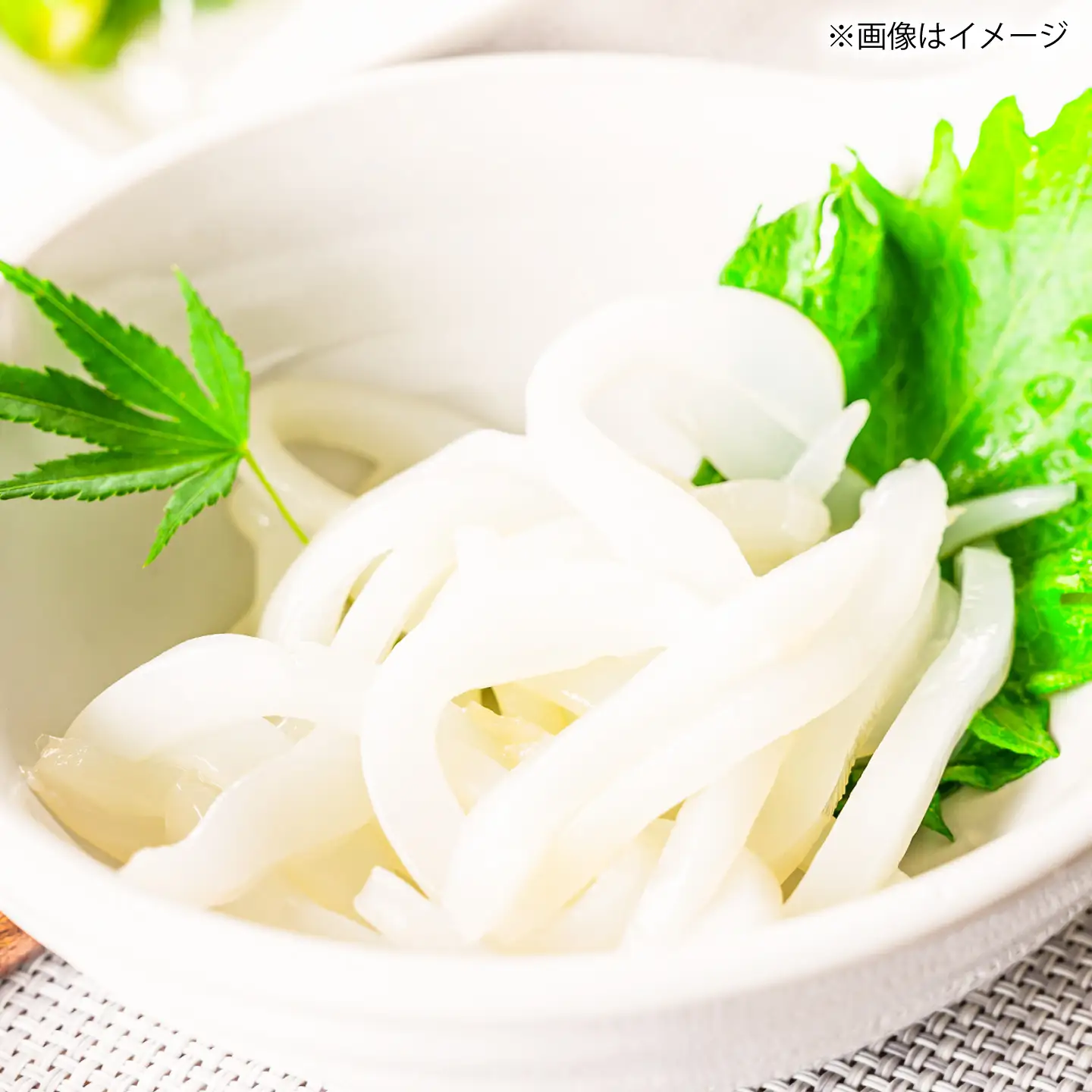 【とけたらとれたて】 アオリイカ （下処理・瞬間冷凍済み）1杯（500g以上）小分け 長崎県 小値賀町[DBY012]