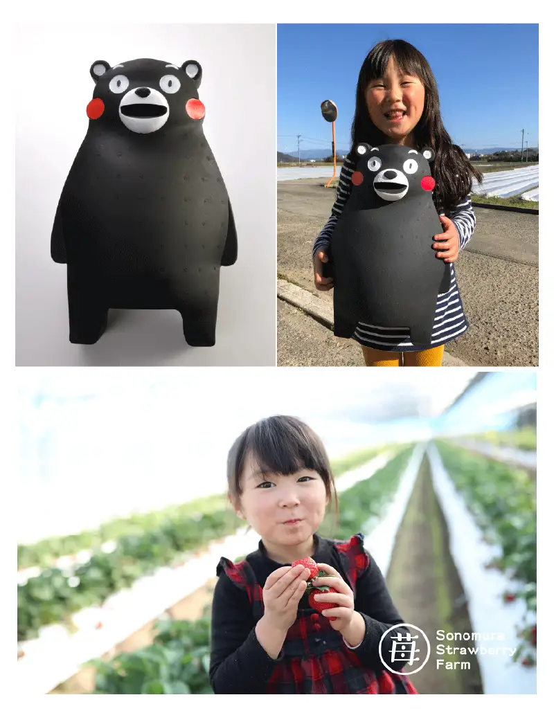 【先行受付】1月発送 園村苺園 完熟さちのか苺 in くまモン_約500ｇ_U74-0052_01