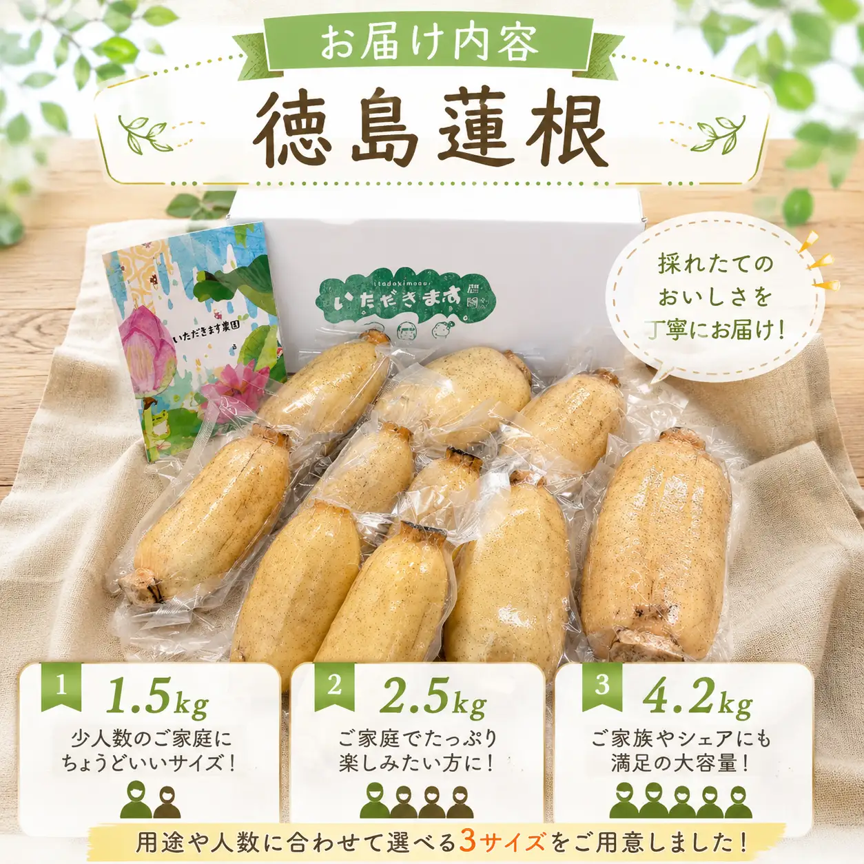 蓮根 厳選 こだわり部位セット 1.5kg
