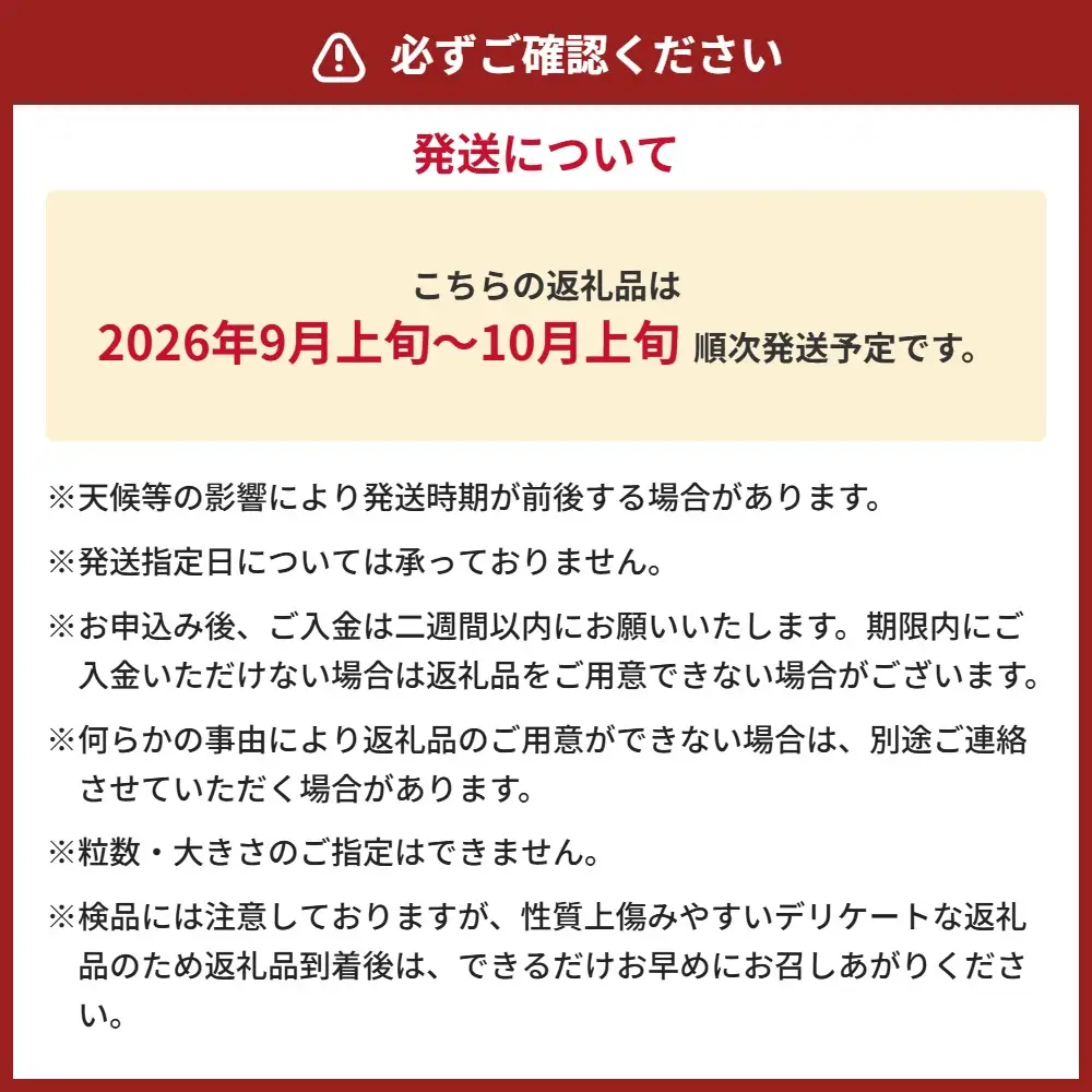 生栗 クリ 大粒 2L以上 約2kg 栗 和栗 くり マロン 果物 くだもの フルーツ 栗ご飯 栗きんとん 国産 熊本県産 冷蔵 【 2026年9月上旬～10月上旬迄発送予定 】