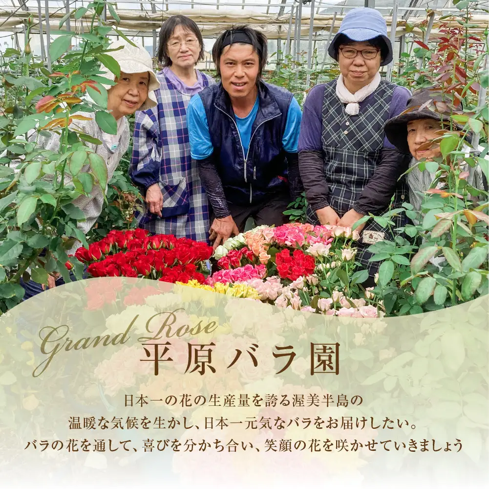 《指定日可》バラ30本とカスミソウのブーケ バラ
