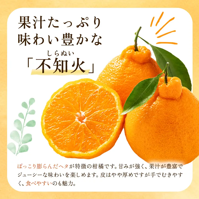 柑橘 柑橘定期便  森田果樹園 