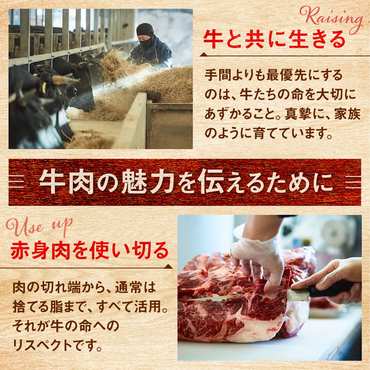 佐賀県産 しろいし牛 煮込み用 1，000g(500g×2パック) / 牧場直送 国産 牛肉 ビーフシチュー / 佐賀県 / 有限会社佐賀セントラル牧場[41ASAA322]