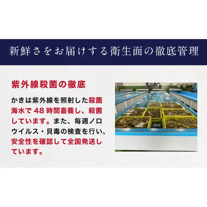 【2月～3月発送】北海道 厚岸産 ブランド牡殻かき 二種 食べ比べ (弁天かき＆カキえもん)　8個 牡蠣 魚貝類 生牡蠣 殻付き牡蠣 カキ
