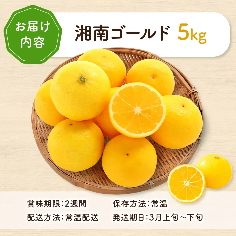 先行予約】湘南ゴールド5kg【2027年3月上旬ごろより発送開始