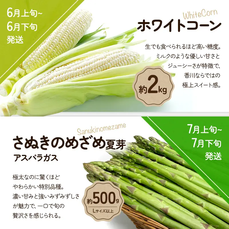 旬のさぬきの野菜定期便（5回） 野菜 定期便 旬 新鮮 食べごろ 季節 ブロッコリー アスパラ アスパラガス 春芽 夏芽 ホワイトコーン  ミニトマト 香川県 東かがわ市