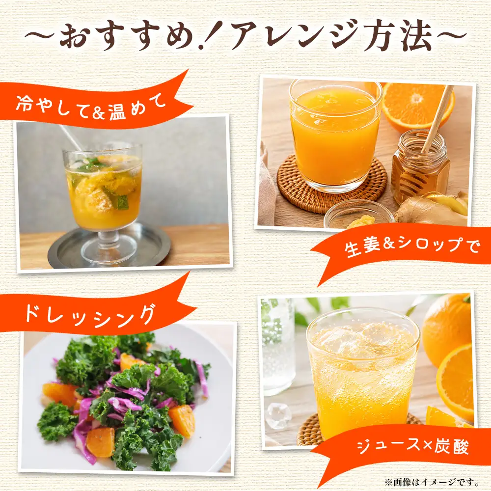 みかん100％ストレートジュース(720ml×1本) みかん fn-0015