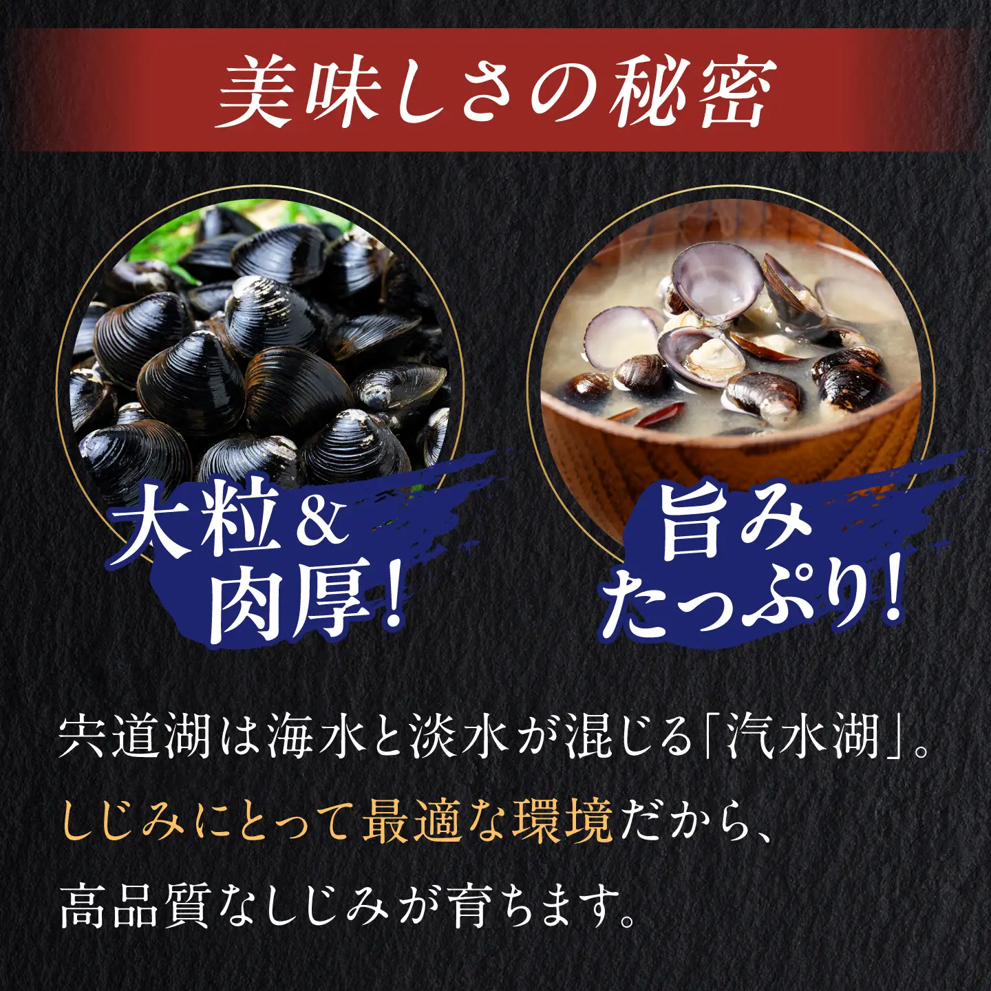 毎日食べたい!宍道湖産大和しじみの即席大粒しじみ汁(合わせ味噌)48g×20袋 島根県松江市/平野缶詰有限会社[ALBZ051]
