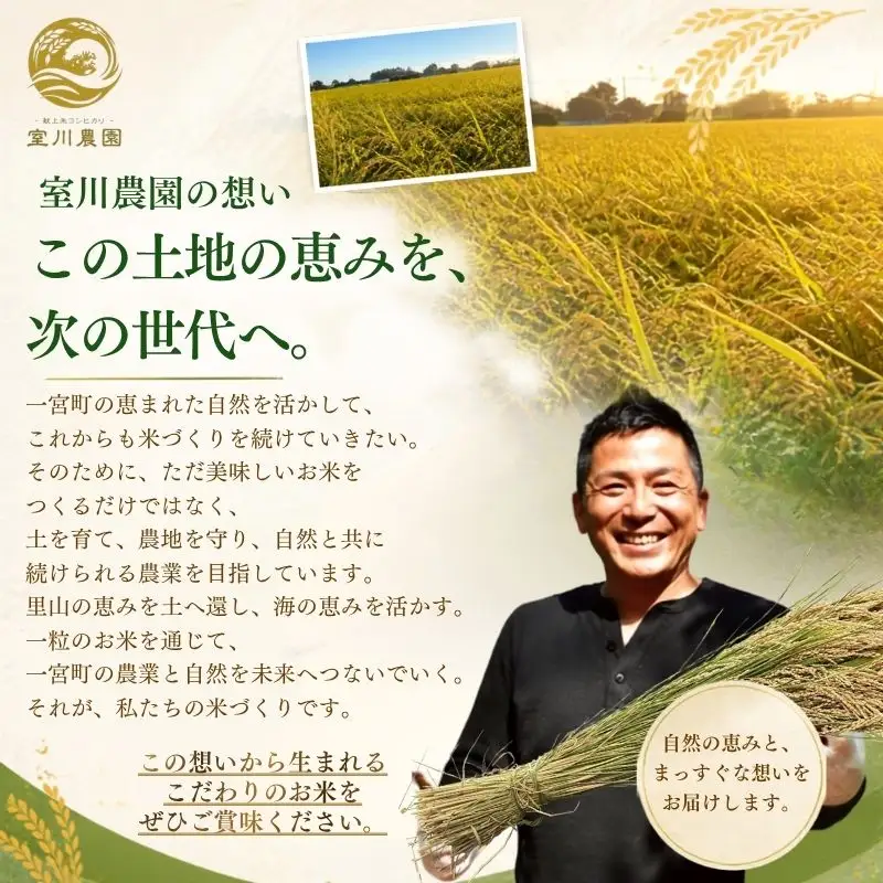 千葉県一宮町産コシヒカリ（白米１０kg）食べくらべチャレンジセット　令和８年産米　2026年発送分　５kg×２袋 　一等米　白米　精米　先行予約