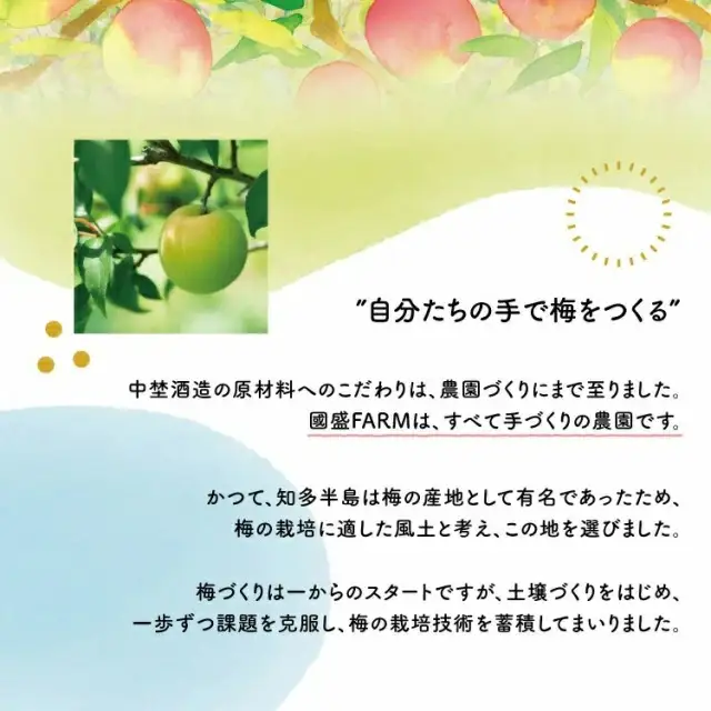 【定期便6回】梅シロップ420g×3本
