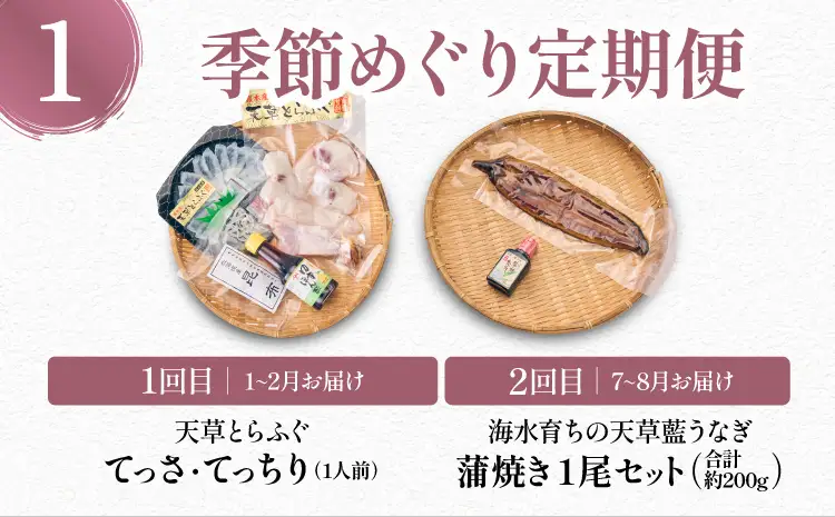 令和8年熊本地震復興支援 【2回定期便】極 季節めぐり定期便① 海鮮 とらふぐ うなぎ 天草海産