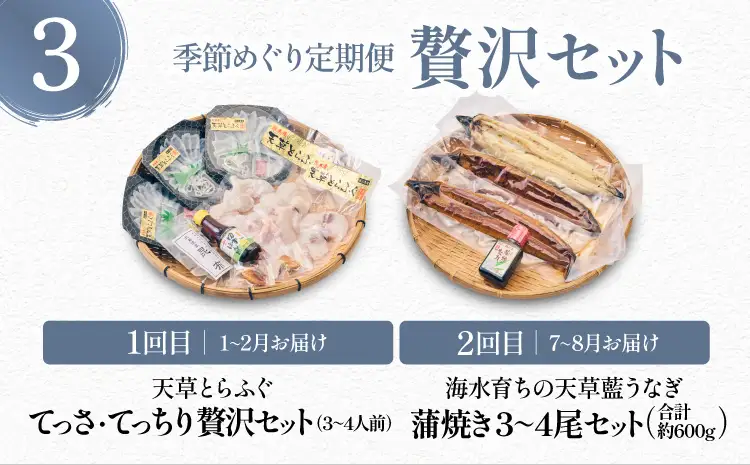 令和8年熊本地震復興支援 【2回定期便】極 季節めぐり定期便③ 海鮮 とらふぐ うなぎ 天草海産 〈熊本地震復興応援〉