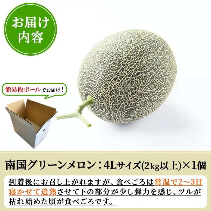 ＜先行予約受付中！2027年6月中旬以降順次発送予定＞ 数量限定！鹿児島県産南国グリーンメロン(4Lサイズ×1個) メロン フルーツ デザート 果物 鹿児島 国産 阿久根市産 青肉 ハウス ハウス栽培 期間限定 【東新グリーンファーム合同会社】akn062-14