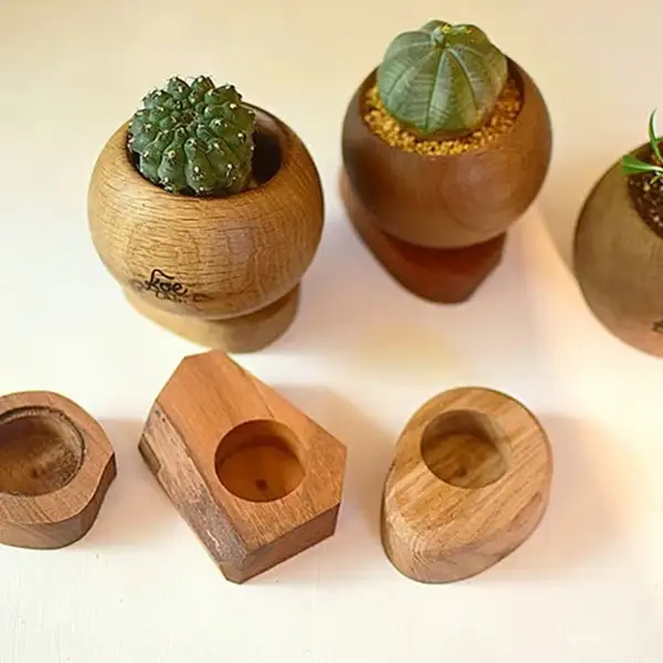 ぷらねぽっと　3点セット（サボテン・多肉植物付き）【植木鉢】