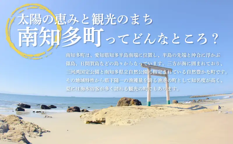 たこ煎餅詰合せ 自家製 せんべい 愛知 南知多 海老 えびせんべい 煎餅 人気 おすすめ えびせんべい 海老煎餅 海老せんべい エビ煎餅 えび煎餅 エビせんべい 魚介 海鮮 お菓子 海老 えび エビ おやつ えびせん えびせんべい 海老せんべい せんべい ギフト おすすめ 人気 ふるさと納税えびせんべい 愛知県南知多町