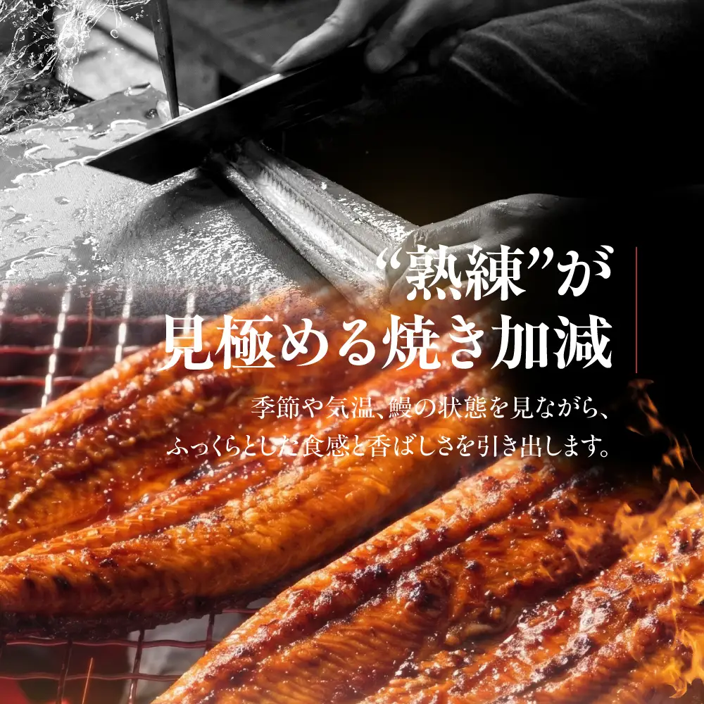 国産特上 大和鰻 6尾（約936~1098g） 国産鰻 選べる 鰻 うなぎ unagi ウナギ 蒲焼 長蒲焼 国産うなぎ 鰻蒲焼 上 特上 贈答 ギフト 豊橋うなぎ 土用の丑の日 カネナカ 冷凍 限定 うな重 うな丼 ひつまぶし 愛知県 豊橋市