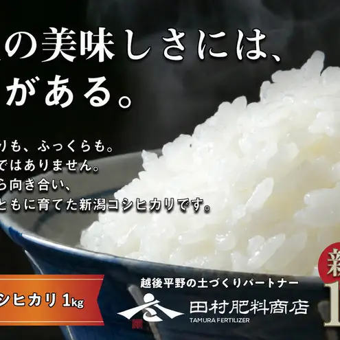 令和8年産 新潟県産 コシヒカリ 1kg お米 白米 こしひかり 新潟産 1キロ 新潟県 新潟市 産地直送 送料無料
