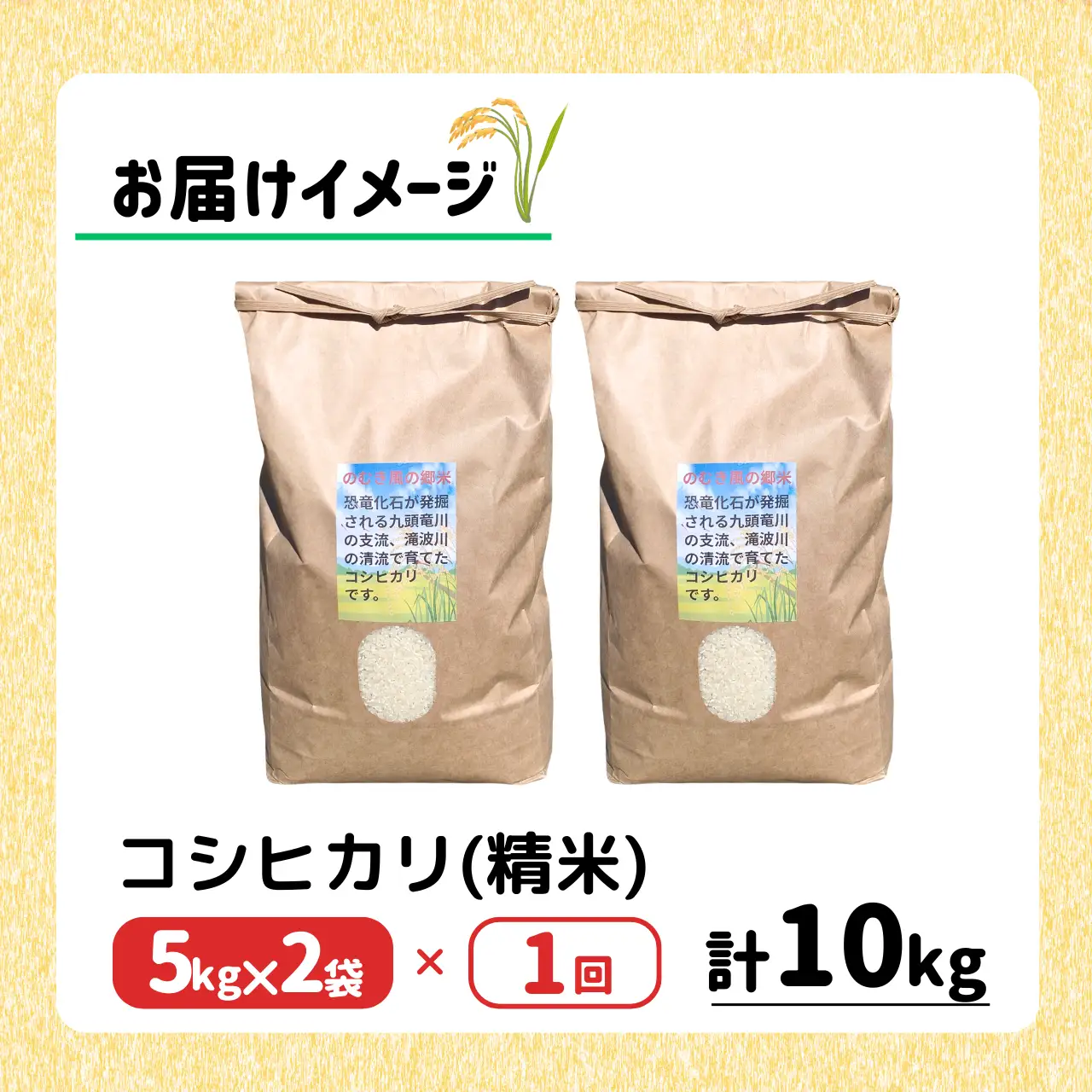 米 令和8年産 コシヒカリ 精米 のむき風の郷 5㎏×2袋  [B-024007]