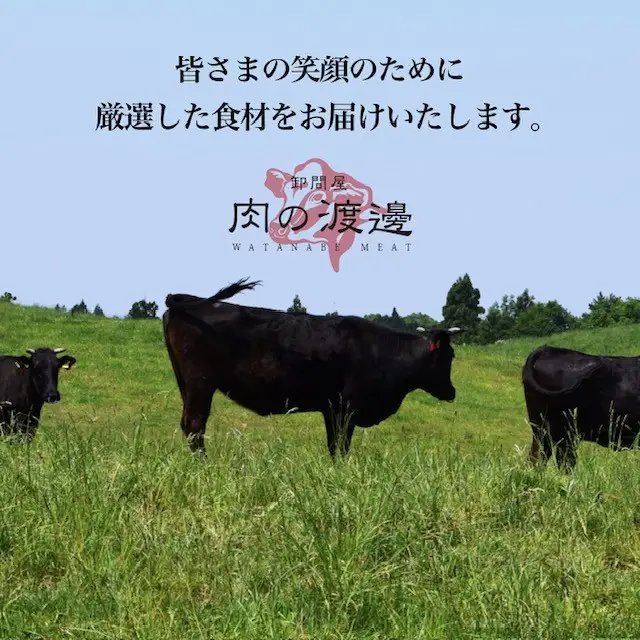 タレ漬け牛ハラミ 500g （250g×2)